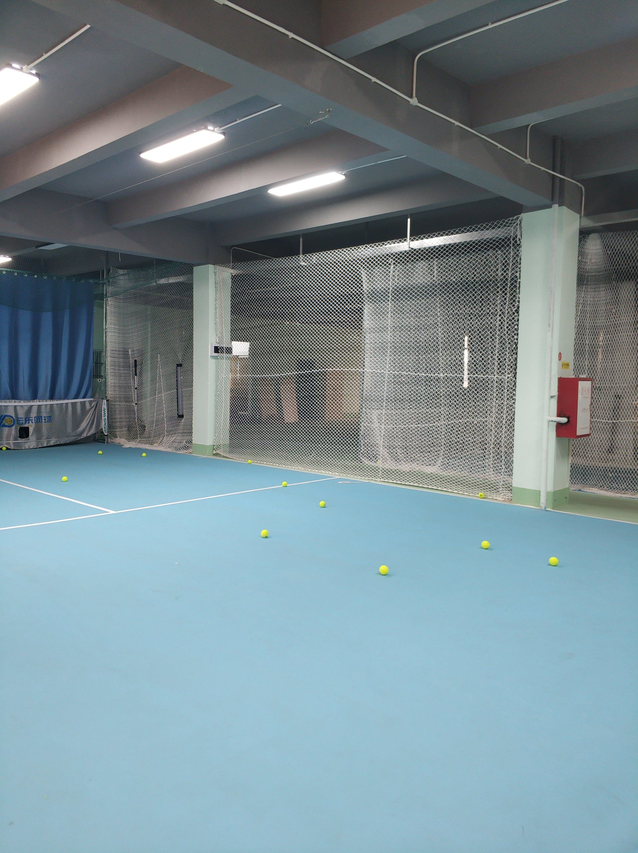 由前锋在禁 由前锋在禁