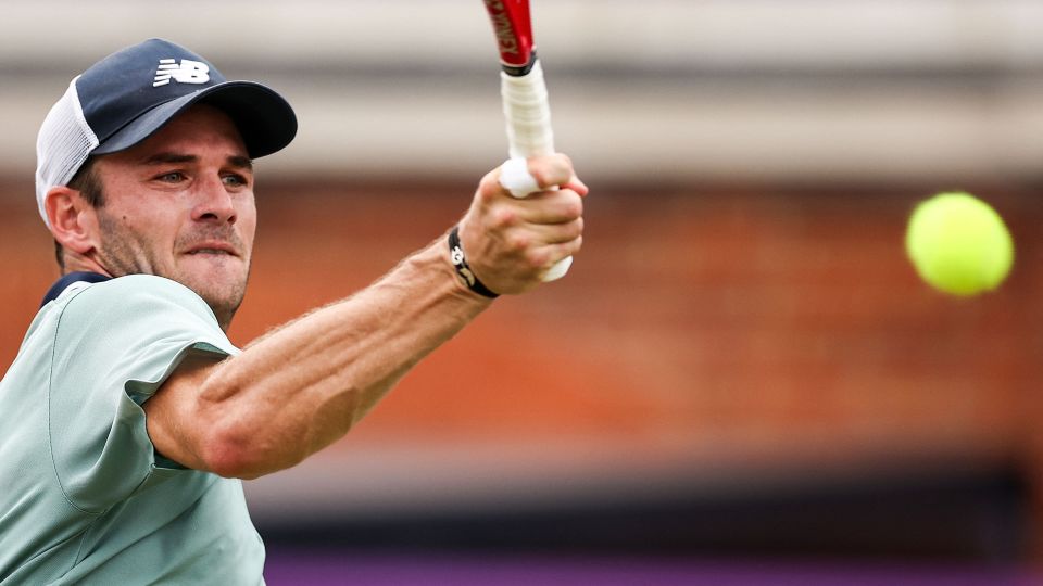 和新援的迅 和新援的迅